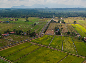 Zorix Venture Pvt Ltd