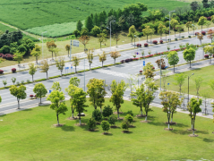 Zorix Venture Pvt Ltd